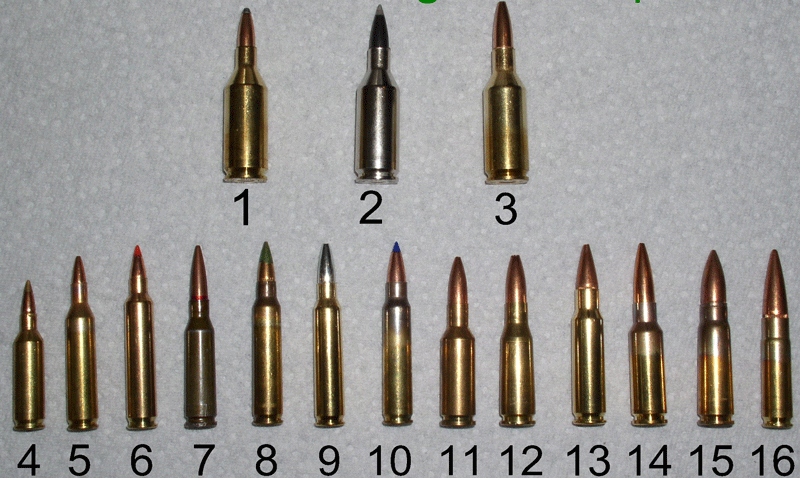 AR 15 Cartridge Line Up